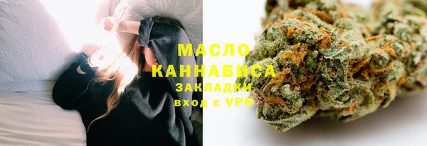спайс Ельня