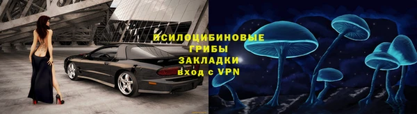 спайс Ельня