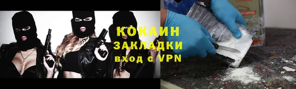 спайс Ельня