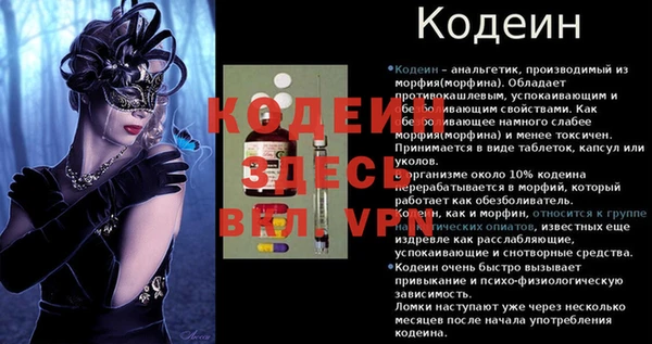 мяу мяу мука Елабуга