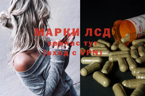 мяу мяу мука Елабуга