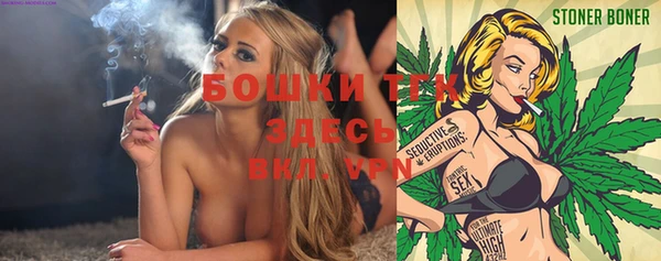 спайс Ельня