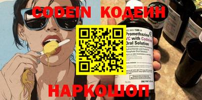 мдпв Кингисепп