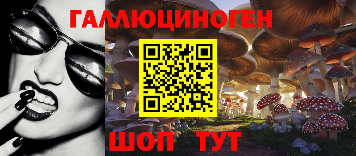 Можга  Галлюциногенные грибы Psilocybe  Вход с VPN 