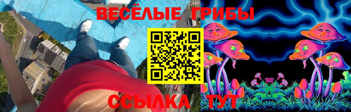 Галлюциногенные грибы прущие грибы Можга