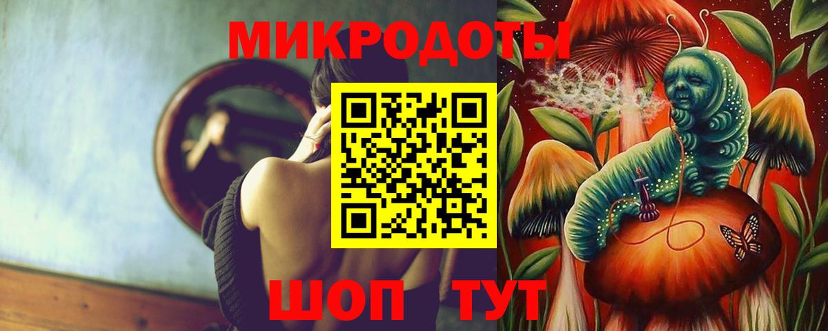 Псилоцибиновые грибы Psilocybe  Галлюциногенные грибы ЛСД  Можга 